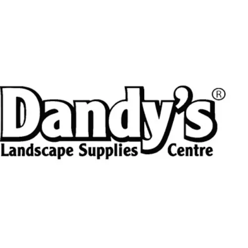 Dandy's