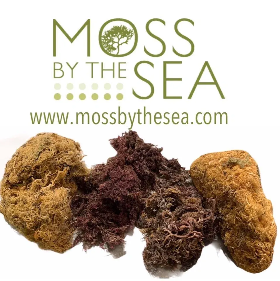 Moss by the Sea