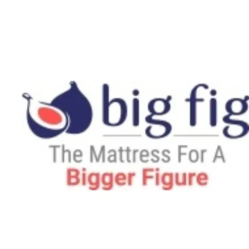 Big Fig Mattress