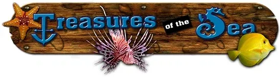 treasuresoftheseaandmore.com