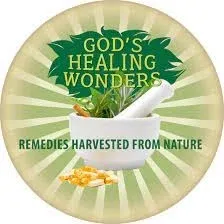 godshealingwondersllc.com