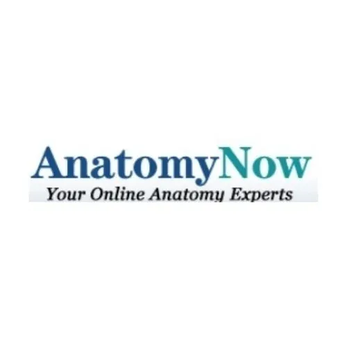 anatomynow