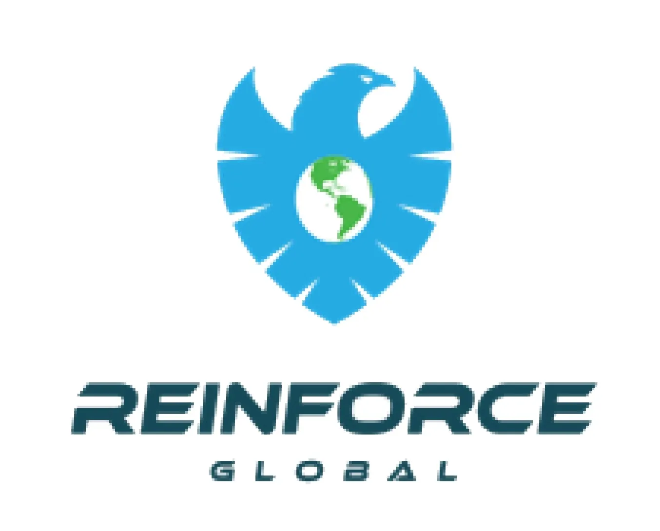 reinforceglobal.com