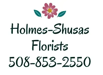 holmes-shusasflorist.com