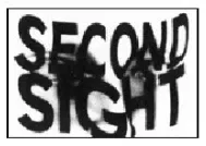 Second Sight Online