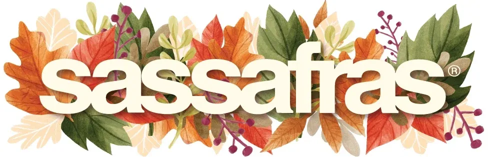 Sassafras