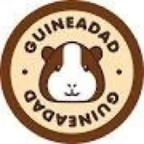 GuineaDad