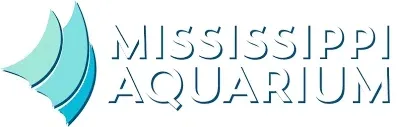 msaquarium