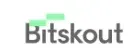 bitskout.com