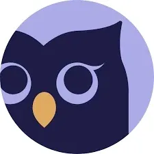 ChatOwl