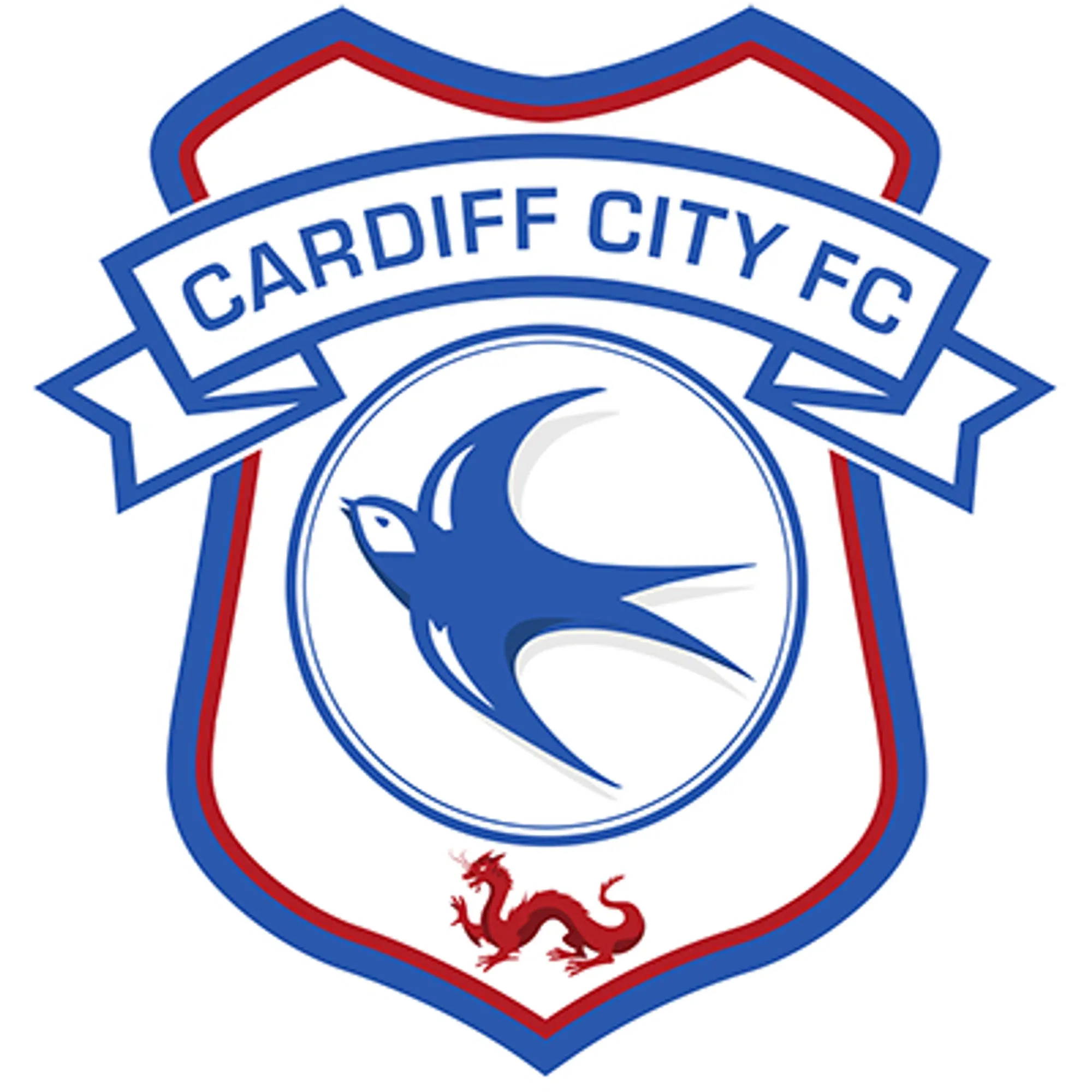 Cardiff City Football Club