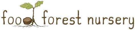 foodforestnursery.com