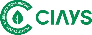 ciays.com