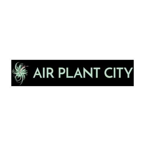 Air Plant City