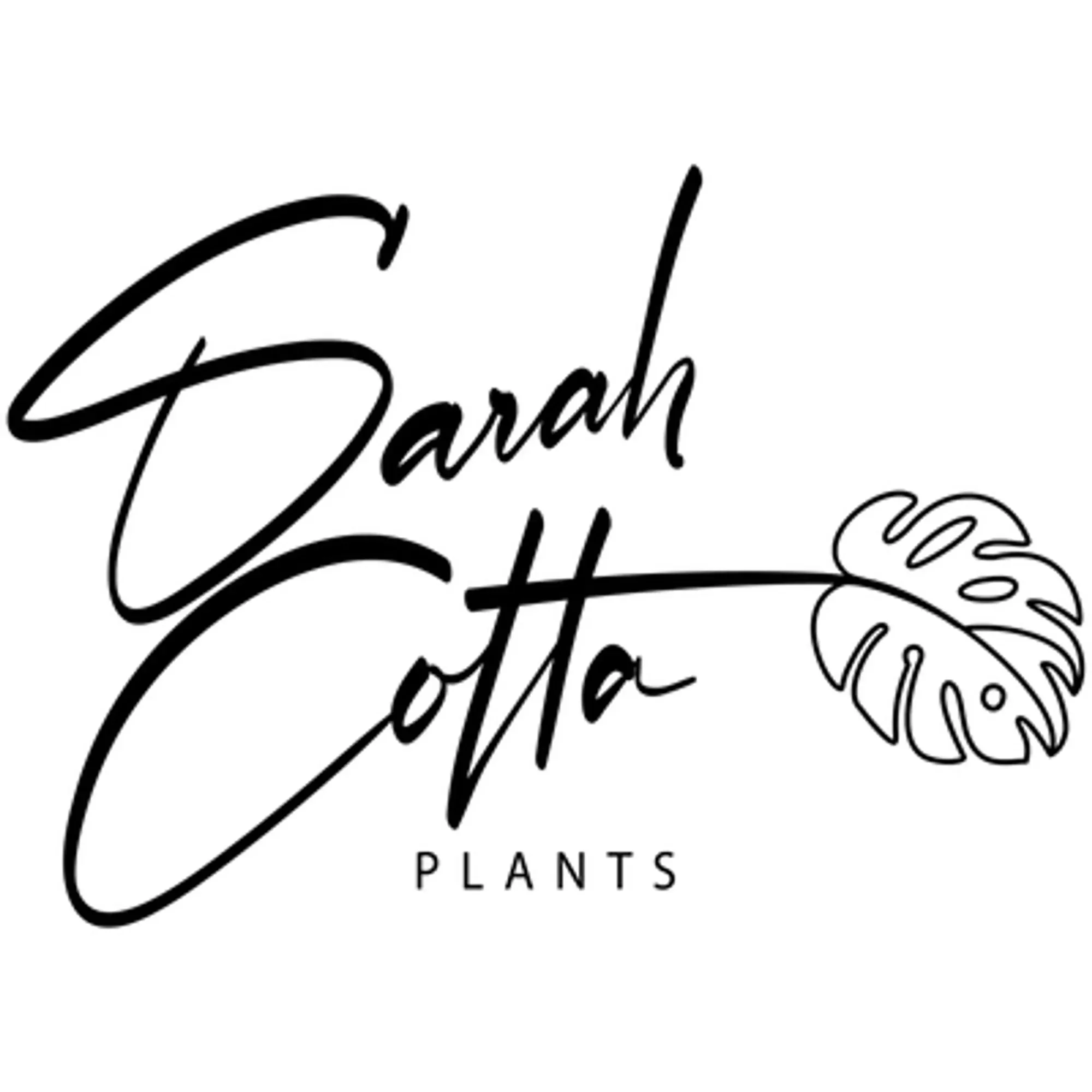 SarahCotta Plants