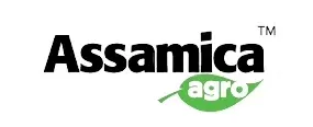 Assamica Agro