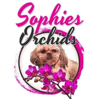 Sophie's Orchids