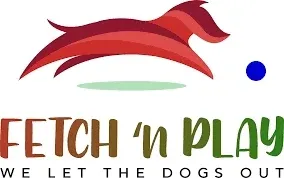 Fetch Play Toys