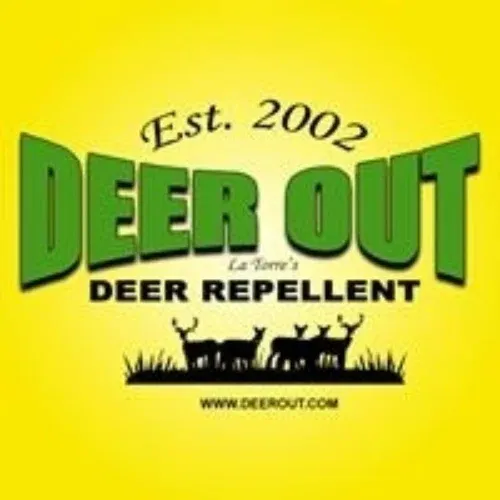 Deer Out