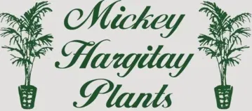 Mickeysplants