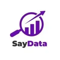 saydata.tech