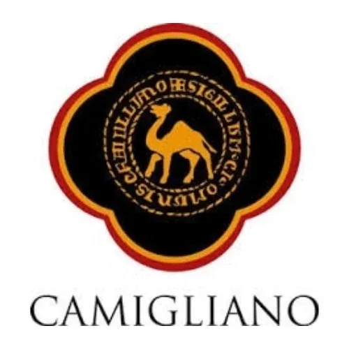 Camigliano