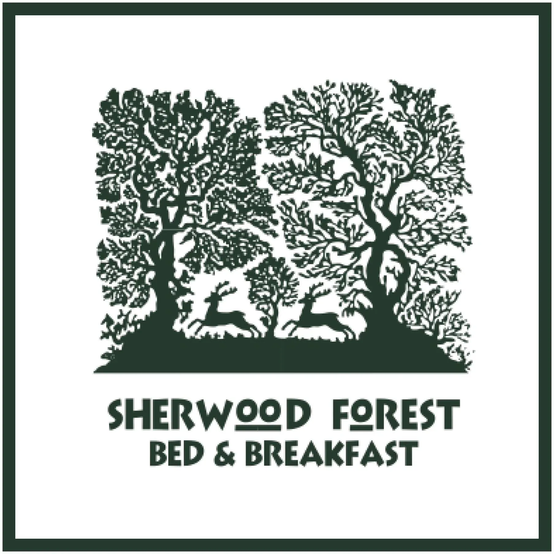 Sherwood Forest B&B