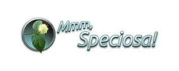 Mmm Speciosa