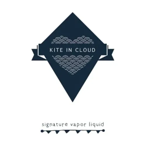 Kite In Cloud