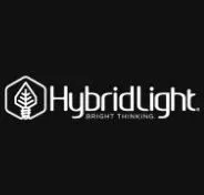 Hybrid Light