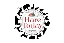 hare today