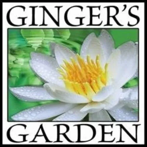 Ginger's Garden Soaps