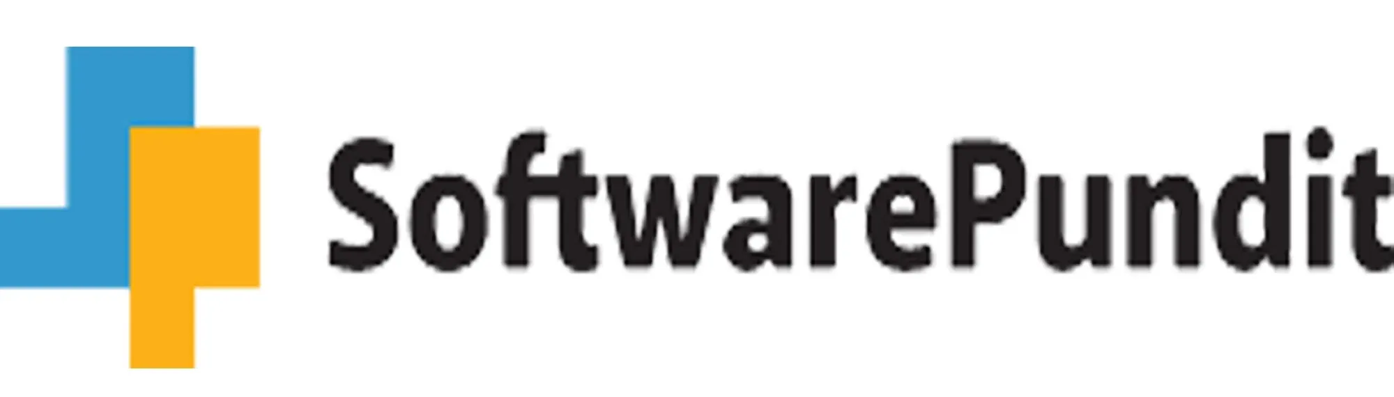 SoftwarePundit