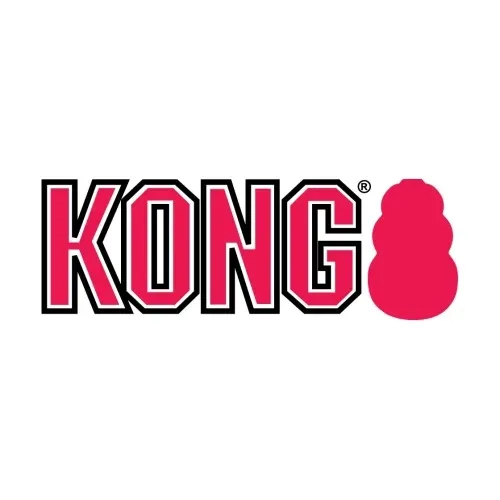 Kong Company