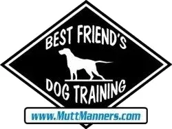 Best Friend's Dog Training