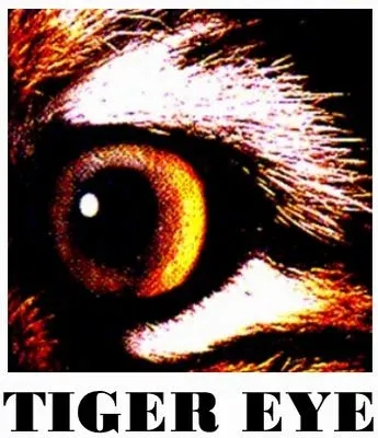 Tiger Eye