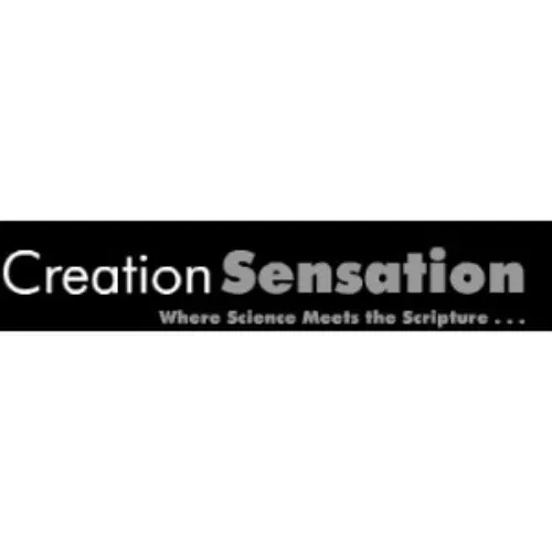 Creation Sensation