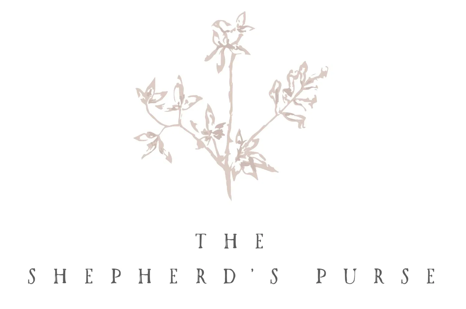 The Shepherds Purse