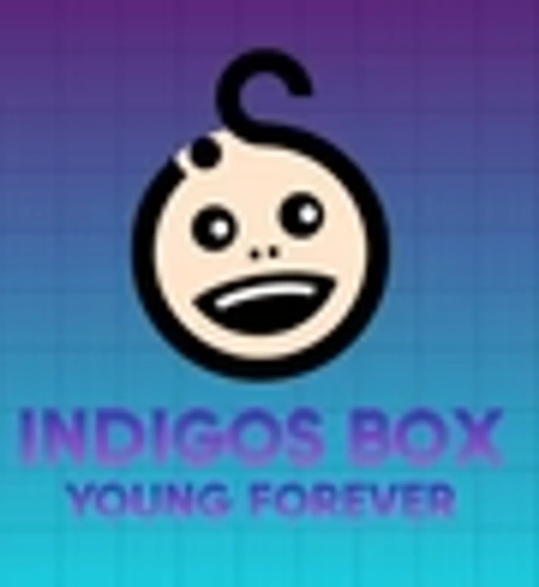 Indigos Box