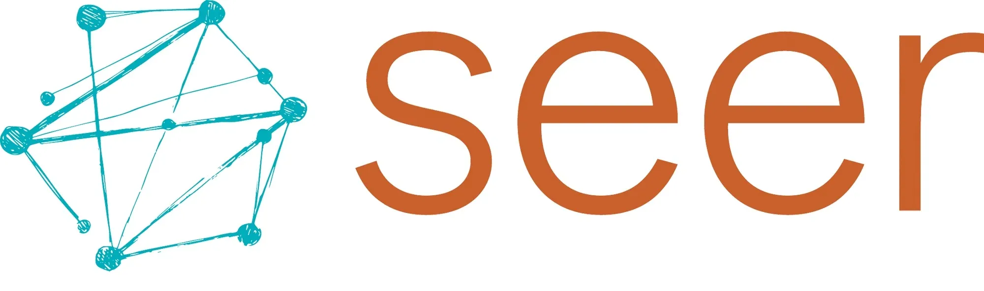 Seer Interactive