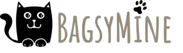 Bagsymine