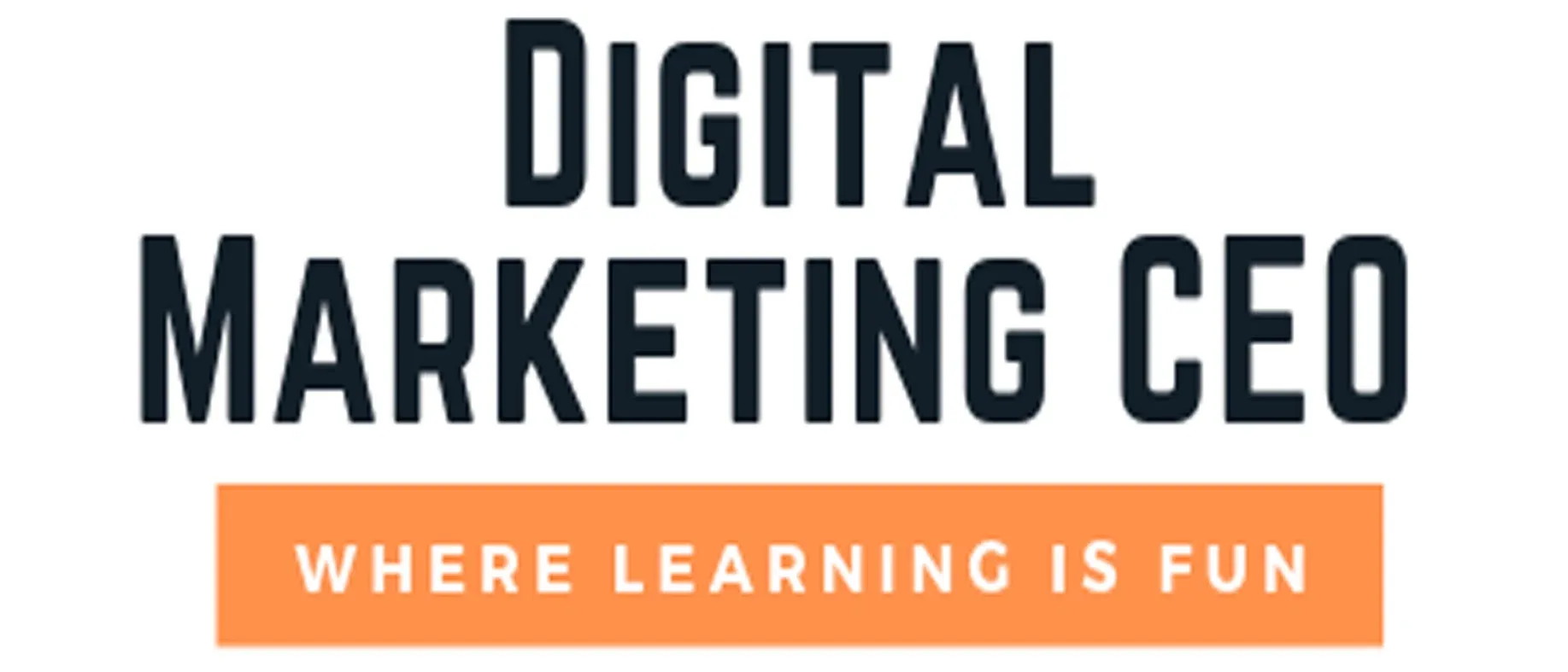 Digital Marketing CEO