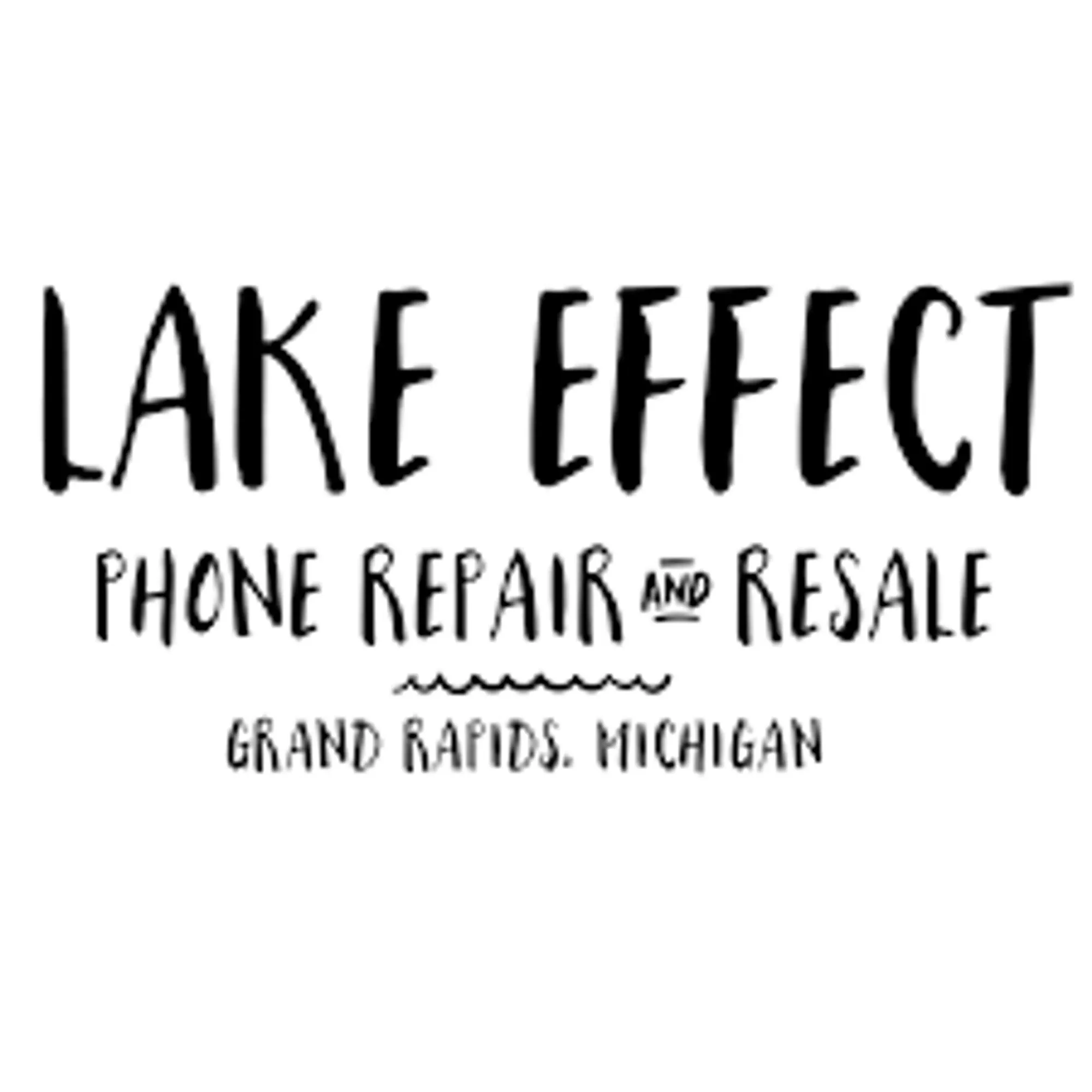 Lake Effect Phone Repair