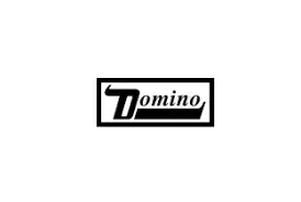 Domino Records Co