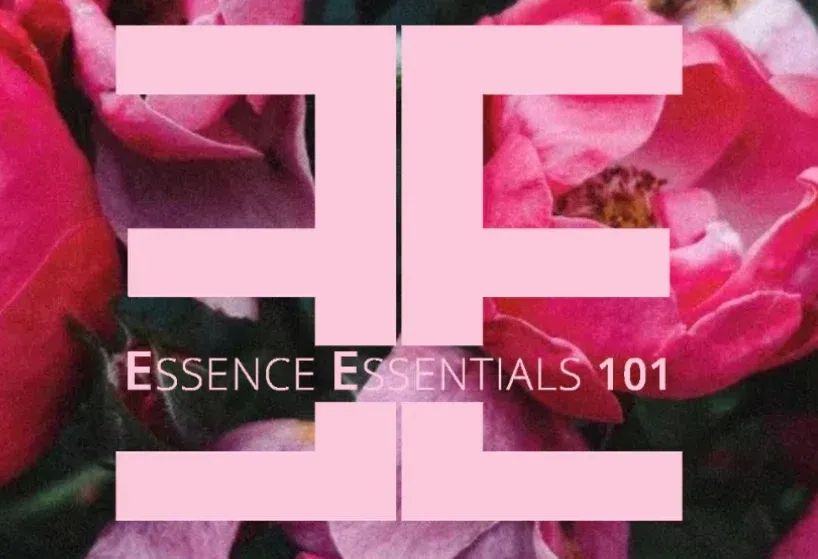 Essence Essentials 101