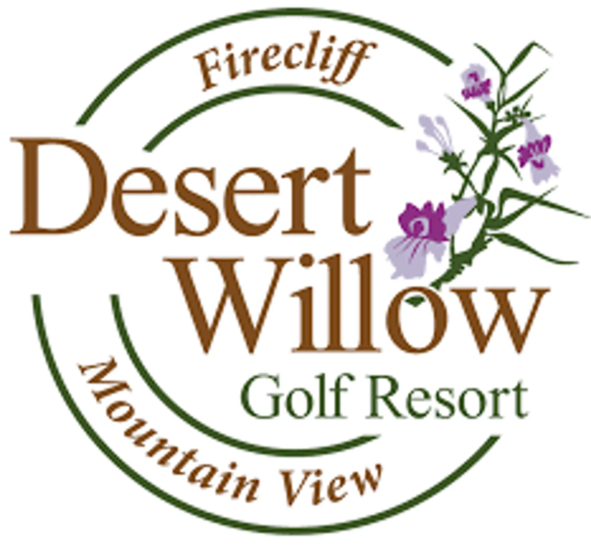 Desert Willow