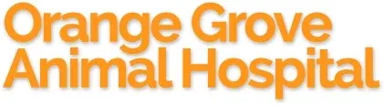 Orange Grove Animal Hospital