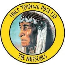 Chief Trading Post