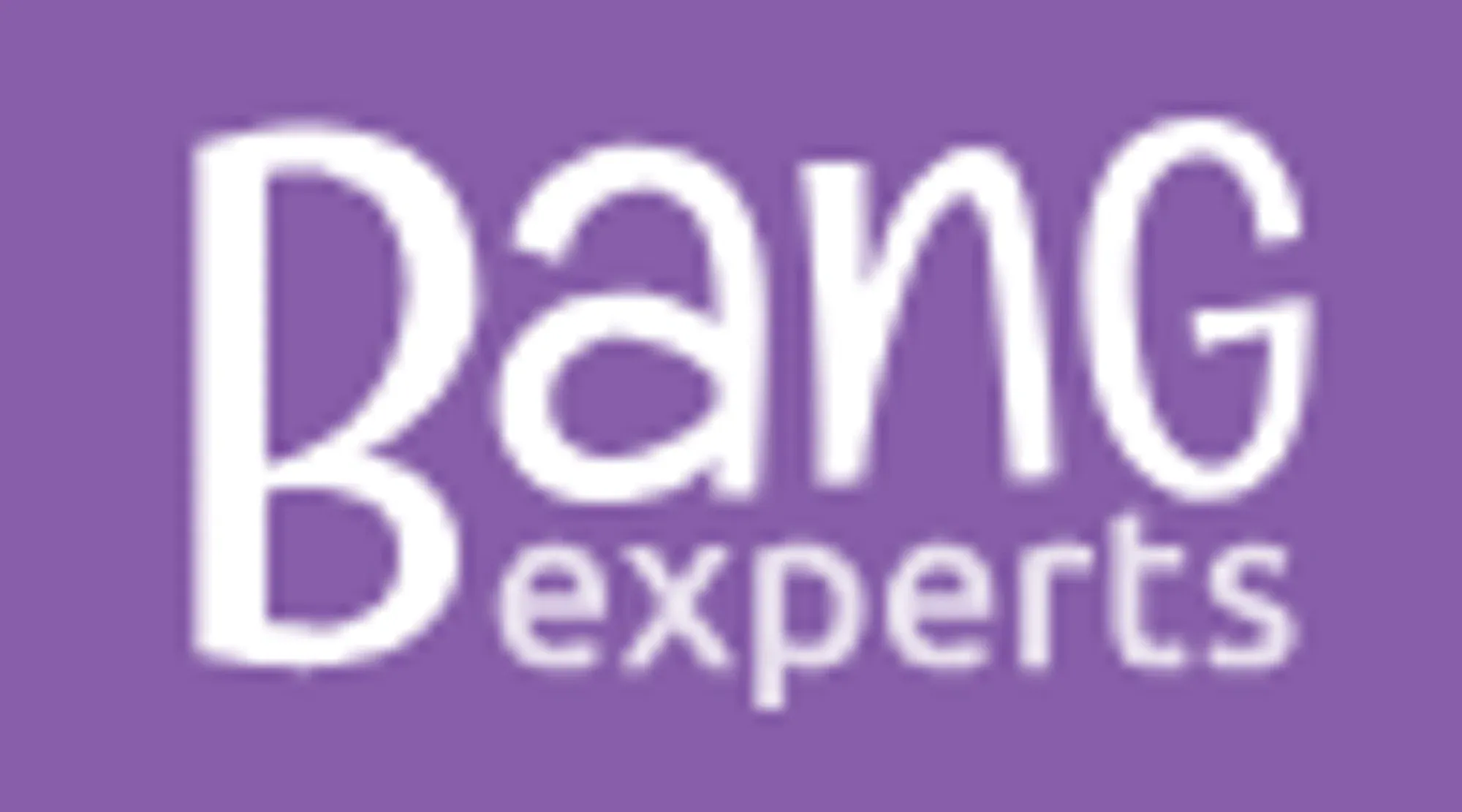 bangexperts.com