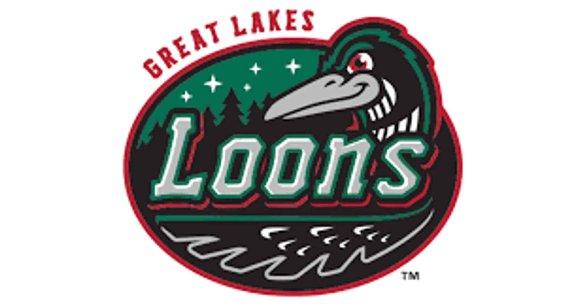 Great Lakes Loons